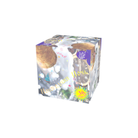 Новогодняя ночь Салют купить в Дмитрове | dmitrov.salutsklad.ru