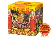 Красивая жизнь Фейерверк купить в Дмитрове | dmitrov.salutsklad.ru