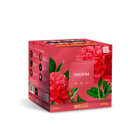 Пионы Салют купить в Дмитрове | dmitrov.salutsklad.ru