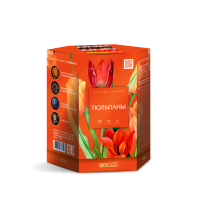 Тюльпаны Салют купить в Дмитрове | dmitrov.salutsklad.ru