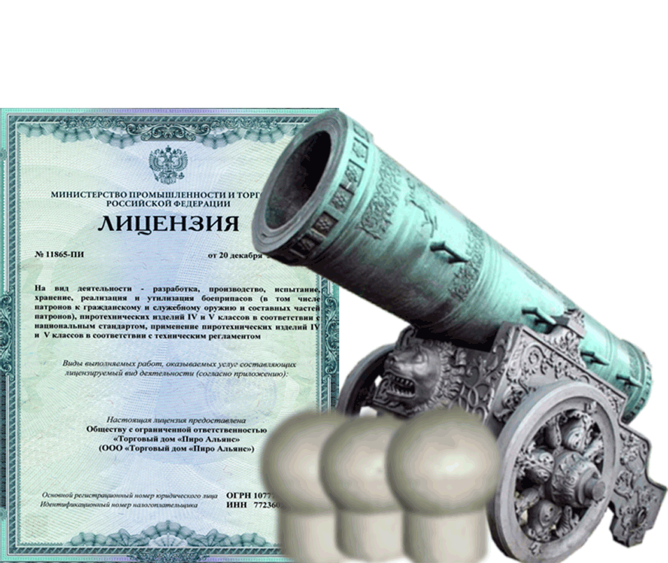 Заказать фейерверк на Новый Год - салют в Дмитрове