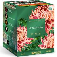 Хризантемы Фейерверк купить в Дмитрове | dmitrov.salutsklad.ru