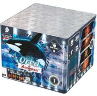 Косатка Фейерверк купить в Дмитрове | dmitrov.salutsklad.ru