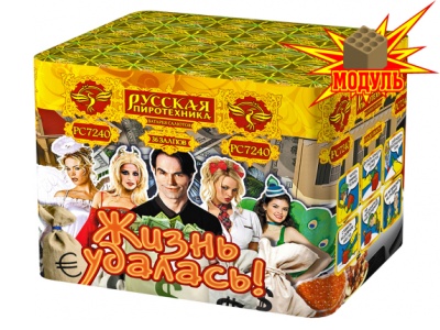 Жизнь удалась Фейерверк купить в Дмитрове | dmitrov.salutsklad.ru