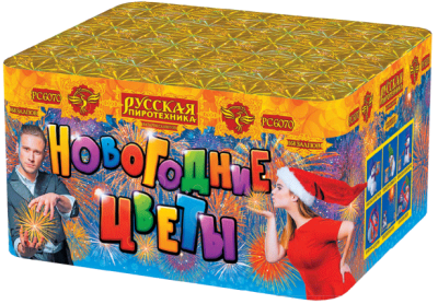 Новогодние цветы Фейерверк купить в Дмитрове | dmitrov.salutsklad.ru