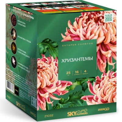 Хризантемы Фейерверк купить в Дмитрове | dmitrov.salutsklad.ru