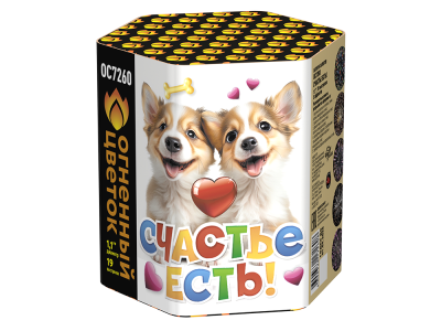 Счастье есть! Салют купить в Дмитрове | dmitrov.salutsklad.ru